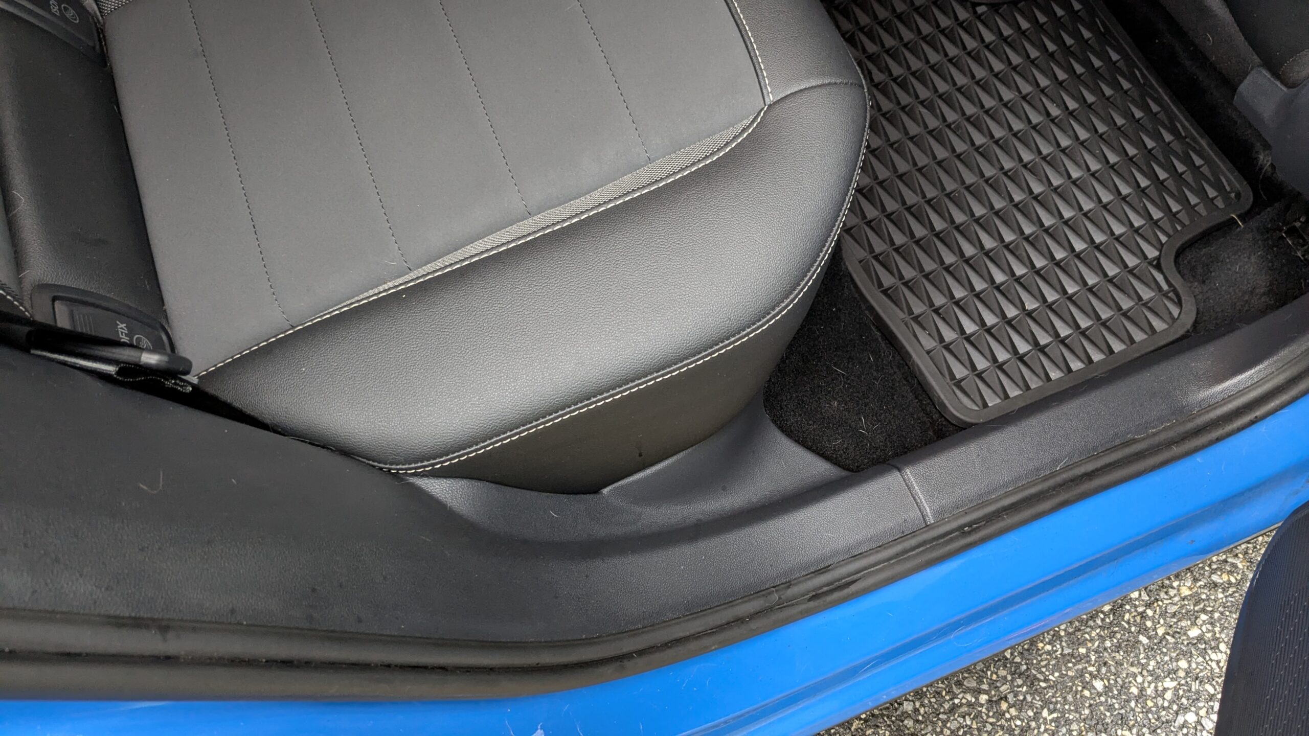 After Pet Hair Interior Detail
