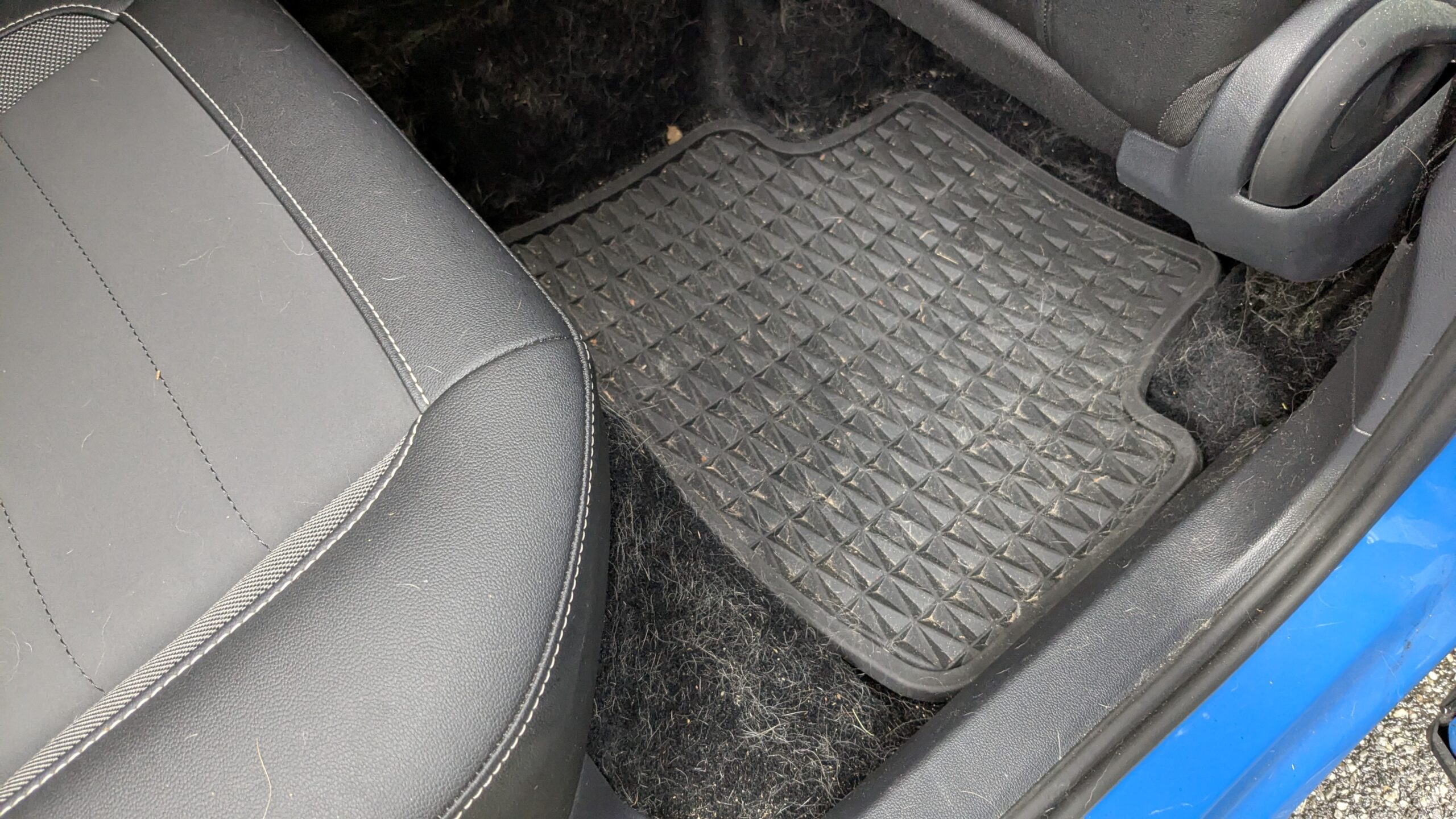 Before Pet Hair Interior Detail